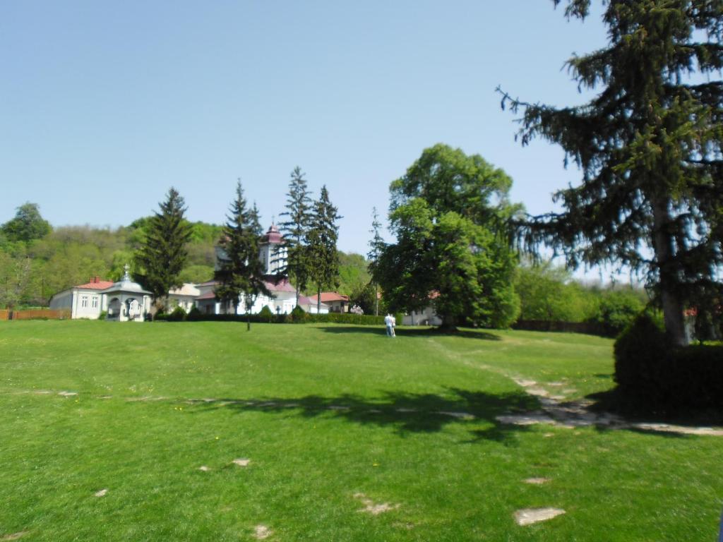 Montana Touring Hotel Nehoiu Luaran gambar
